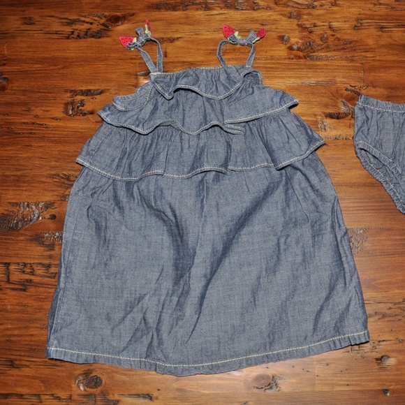 GYMBOREE Girl's Burst of Spring Chambray Dress 2T - Picture 5 of 8